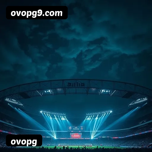 Suporte 24 horas ovopg
